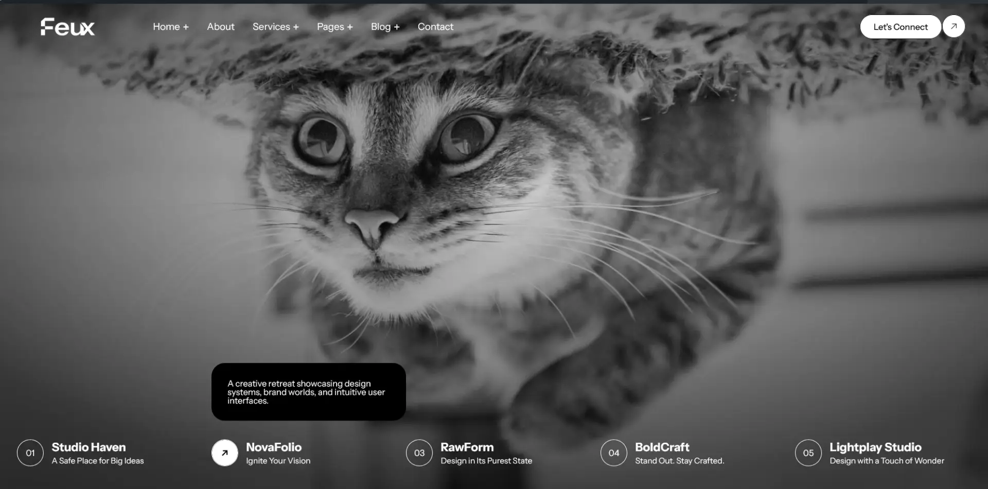 home-page